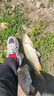 漁之源支架碳素輕硬釣魚(yú)支架臺(tái)釣伸縮魚(yú)竿支架桿全套大物竿支架 3.0m 【長(zhǎng)短竿通架】支架+回彈支架頭+拐彎后掛 曬單實(shí)拍圖