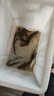 船長(zhǎng)漂蘆魂K10高靈敏醒目魚(yú)漂抗走水黑坑鯉魚(yú)漂 K10蘆葦原色標(biāo)準(zhǔn)尾—4號(hào) 曬單實(shí)拍圖