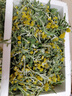 辰實(shí)【順豐】新鮮鼠曲草 清明菜 艾草清明草鼠曲絨毛草清明果團材料 2斤（現摘現發(fā)） 曬單實(shí)拍圖