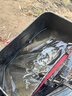 久巖 新關(guān)東魚(yú)鉤成品綁好子線(xiàn)雙鉤套裝黑坑鯽魚(yú)鯉魚(yú)鰱鳙大物無(wú)刺魚(yú)鉤 60cm新關(guān)東無(wú)刺【鉤1+1.2 鉤2+1.5】 曬單實(shí)拍圖