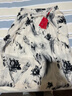 皮爾卡丹（pierre cardin）碎花半身裙女2025新款垂感夏季冰絲雪紡高腰a字裙顯瘦中長(cháng)款裙子 花色6(有內襯) XL 29 曬單實(shí)拍圖