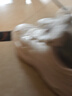 兒童鞋男女童鞋四季百搭皮面防水中大童男孩跑鞋防滑運動(dòng)鞋 白色 （夏季網(wǎng)面） 38 內長(cháng)24cm 曬單實(shí)拍圖