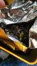 億公子英德檸檬紅茶2025新茶廣東特產英紅九號紅茶高檔禮盒裝茶葉自己喝 檸檬紅茶1千克【4罐裝送禮袋】 曬單實拍圖