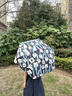 蕉下（beneunder）迷你便攜防曬傘防紫外線遮陽傘小巧便攜女晴雨兩用折疊傘 野趣小花 曬單實(shí)拍圖