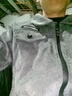 VACK春秋衛衣套裝男秋季衣服男裝外套男士運動(dòng)套裝男潮流加絨寬松男裝 灰色(兩件套) XL (建議體重120-135斤) 曬單實(shí)拍圖