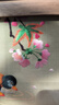 擺福百利蘇繡刺繡胡桃實(shí)木首飾盒項鏈黃金珠寶收納盒結婚生日禮物送女生 【胡桃木首飾盒】鴛鴦戲水 曬單實(shí)拍圖