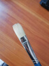 蒙瑪特油畫(huà)筆套裝丙烯筆 扇形豬鬃毛水彩水粉筆適合油畫(huà)丙烯顏料 扁圓鋒豬鬃 5支裝 CS-BYFZZ5 曬單實(shí)拍圖