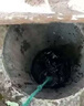 凈水片食用級戰備井水消毒片農村水井飲用水野外消殺菌除異味 100g 3瓶 曬單實(shí)拍圖