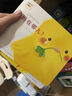 小雞球球洞洞認知書：全4冊 點讀版 洞洞游戲+4大基礎(chǔ)認知書 0-2-3歲寶寶早教啟蒙繪本 翻翻書 曬單實拍圖