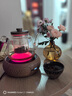GERTHRON德國煮茶器2025新款煮茶器煮茶壺小型家用燒水壺養生電陶爐全玻璃蒸煮一體式加熱器燜泡茶 團購聯(lián)系客服（單拍不發(fā)） 1L 1L以上 曬單實(shí)拍圖