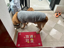 茨格曼狗狗衣服冬季保暖中大型犬薄絨金毛薩摩耶拉布拉多邊牧加厚狗衣服 薄絨狗衣服 8XL【建議80斤內狗】 曬單實(shí)拍圖