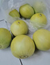 趣覓鮮馬連莊甜瓜山東萊西特產(chǎn)蜜寶王小香瓜青島蜜蜂甜瓜新鮮水果 3斤裝約7個(gè) 曬單實(shí)拍圖