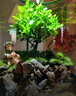 苔蘚微景觀生態(tài)瓶趣味造景綠植創(chuàng)意盆栽盆景魚缸好養(yǎng)活桌面臥室 釣魚翁（煙灰色）+木質(zhì)底座燈 16*16*22（圓）/15*15*20（超白缸） 曬單實拍圖