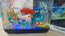 哲高積木拼裝魚(yú)缸家用客廳辦公室養魚(yú)小型金魚(yú)缸桌面創(chuàng  )意擺件男生禮物 奇妙海洋館魚(yú)缸-517PCS 曬單實(shí)拍圖