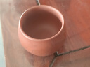 宜興原礦紫砂大紅袍龍蛋茶杯客杯一個(gè)60毫升小口杯家用手工羅漢杯 9.9 曬單實(shí)拍圖