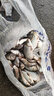 千壽（Qianshou） 千壽釣線日本黑坑釣魚線超柔軟強拉力原絲尼龍線 【子線買二送一】1.5 曬單實拍圖