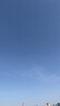 七彩鳳凰風(fēng)箏大人兒童戶外微風(fēng)易飛款濰高檔輪盤濰坊網(wǎng)紅大型風(fēng)箏 烈火鳳凰+300米水晶線輪 曬單實(shí)拍圖