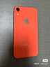 Apple蘋(píng)果xr 原裝屏 99新iPhoneXR 蘋(píng)果 二手蘋(píng)果手機 全面屏4G雙卡手機 學(xué)生拍照 顏色隨機 白色【顏色隨機】 128G【更換百分百電池】9成新 曬單實(shí)拍圖