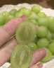 京滿(mǎn)隆澳洲進(jìn)口秋天脆青提 新鮮甜地球青提無(wú)籽葡萄當季孕婦水果整箱 精品青提 2斤 【無(wú)禮盒】 曬單實(shí)拍圖