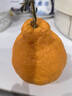 京地達四川愛(ài)媛果凍橙38號橘子凈重9斤單果75mm橘子新鮮源頭直發(fā)包郵 曬單實(shí)拍圖