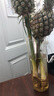 水培鳳梨鮮花綠植可食用招財菠蘿辦公室內(nèi)桌面盆栽禁止蕉綠擺件 黑鳳梨香水小菠蘿3枝 不含盆 曬單實拍圖
