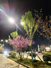 探險(xiǎn)者（TAN XIAN ZHE）充氣床墊戶外帳篷充氣墊自動(dòng)充氣床墊打地鋪單人充氣床雙人氣墊床 【雙人加寬】植絨充氣床內(nèi)置泵 曬單實(shí)拍圖