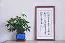 胡桃木實(shí)木畫(huà)框字畫(huà)裝裱空框榫卯框架輕奢大尺寸 客廳相框表書(shū)法 胡桃木r-榫卯結(jié)構(gòu)+龍骨背板+有機(jī)玻璃 內(nèi)徑【33*33】 曬單實(shí)拍圖