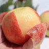 京鮮氣無(wú)錫水蜜桃 當季水蜜桃新鮮白鳳水蜜桃子孕婦水果整箱禮盒 甄選優(yōu)果 12枚禮盒款 曬單實(shí)拍圖