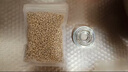 棉花籽心臟新鮮去殼食用棉花籽仁蒸鵝蛋棉花籽種子中藥材 精選棉仁100克【去殼生】 曬單實(shí)拍圖