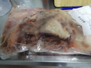【順豐】新鮮羊排尖正宗批發(fā)多肉羊骨頭羊肉包郵燉湯羊小排 新鮮現(xiàn)切山羊排尖4斤 曬單實拍圖