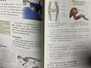 【新華書店正版包郵】適用2025新版人教版初中8八年級(jí)上冊(cè)生物書人教版課本教材教科書人民教育出版社8年級(jí)上學(xué)期初二2上冊(cè)生物課本人八上生物學(xué)八年級(jí)上冊(cè)生物課本 2025新版  八年級(jí)上冊(cè)生物(人教版) 曬單實(shí)拍圖