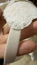 華歌爾藍(lán)標(biāo)GOCOCI內(nèi)衣女無鋼圈性感蕾絲背心式貓耳插片文胸罩WC3531 奶白色 M (160/85) 曬單實(shí)拍圖