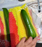 青龍菜瓜脆瓜水果新鮮燒瓜現(xiàn)摘生吃低糖梢瓜稍瓜 濰坊特產(chǎn)順豐 凈重 3斤 普通快遞 曬單實拍圖