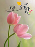 思加圖【方槍槍同款】2025新款金箔鞋復(fù)古瑪麗珍鞋芭蕾鞋EA918AQ5 酷颯黑 37 曬單實拍圖