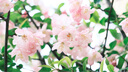 富士FUJIFILM XF 35mm F1.4 R C畫(huà)幅標準定焦人像風(fēng)光鏡頭 XF35mm F1.4 R 52mm 曬單實(shí)拍圖