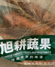 旭耕 有機胡蘿卜500g 有機認(rèn)證甜脆蘿卜嬰孕健康輕食 紅胡蘿卜 500g 曬單實拍圖