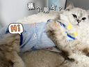 華元寵具（hoopet）貓咪衣服防掉毛夏季薄款的布偶貓藍貓寵物幼貓可愛(ài)貓貓夏天護肚衣 藍鯨魚(yú)寶寶護肚衣 S背長(cháng)28cm【建議5-8斤】 曬單實(shí)拍圖