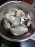 昆蟲元素餌料新品大味型餌料強(qiáng)聚魚魚餌久留魚釣魚餌大紅鯽高穿透 昆蟲元素+水果元素【高溫推薦】 曬單實(shí)拍圖