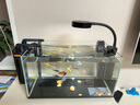 樂迪魚缸燈全光譜海水缸照明燈小型迷你射燈 12W 南美缸【雙色切換 玻璃夾】 曬單實拍圖