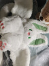 鉑吶苓毛絨玩具安撫玩偶飛天兔蝙蝠兔公仔小福竹生日禮物送女生娃娃 飛天兔【開懷款】 曬單實(shí)拍圖