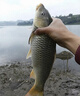 達億瓦（DAIWA）漁輪全金屬紡車(chē)輪無(wú)間隙魚(yú)線(xiàn)輪遠投輪拋竿路亞輪海桿錨魚(yú)輪配件 5000 系列送5號線(xiàn)加魚(yú)鉤 曬單實(shí)拍圖