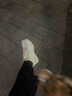 Pansy盼喜日本休閑鞋女鞋軟底春季新款網(wǎng)面運動鞋舒適鞋4237 米色 38  曬單實拍圖