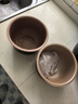 飛利浦電飯煲內膽HD3060/3061/3160/3161電飯鍋不不粘內鍋2L配件 HD3060內膽送飯勺湯勺 曬單實(shí)拍圖