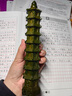 仙松品綠檀木雕刻文昌塔擺件實(shí)木質(zhì)九層文昌塔十三層七層裝飾工藝品 綠檀木文昌塔【7層】上保護(hù)漆 高10厘米 曬單實(shí)拍圖