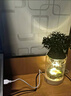 創(chuàng  )意綠植微景觀(guān)植物小夜燈桌面擺件生日禮物房間客廳diy裝飾盆栽 有光青年-無(wú)線(xiàn) 曬單實(shí)拍圖