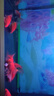 魚(yú)之眼魚(yú)缸氣泡條氧氣條氣石瀑布式氣泡石增氧頭氣簾增氧條自重沉底 60cm砂條和氣泵套餐 曬單實(shí)拍圖