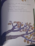 蔡皋經(jīng)典中國繪本 隱形葉子 兒童經(jīng)典繪本童書國學(xué)繪本故事書兒童節(jié)禮物 六一 男孩女孩 曬單實(shí)拍圖