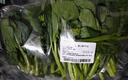 【高原夏菜】 菜心苗250g 曬單實(shí)拍圖