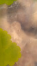 鍋匯食材新鮮原切琵琶腿雞爪雞翅中翅根 山林散養(yǎng)白羽雞拒絕抗生素激素 雞翅根凈重2斤 曬單實(shí)拍圖