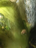魚(yú)呼吸魚(yú)缸增氧泵養魚(yú)加氧氣泵 安靜充氧機充電攜帶便攜式戶(hù)外釣魚(yú) 夜靜-015【充電便攜式8W】裸機 曬單實(shí)拍圖